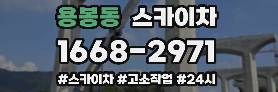 용봉동 스카이차