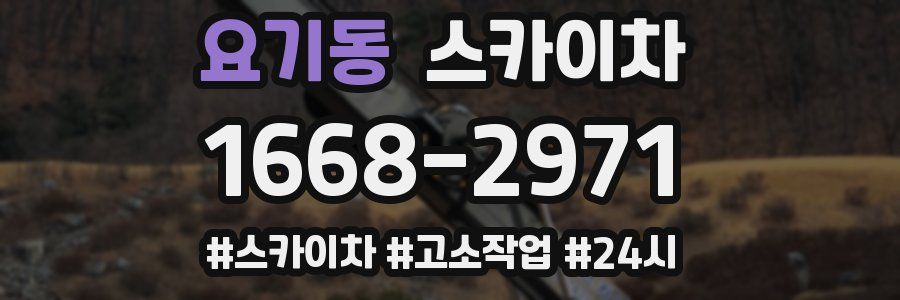 요기동 스카이차