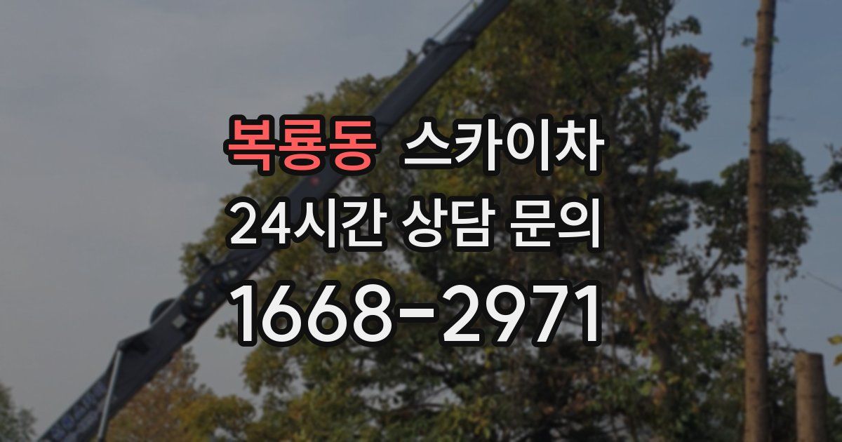 복룡동 스카이차