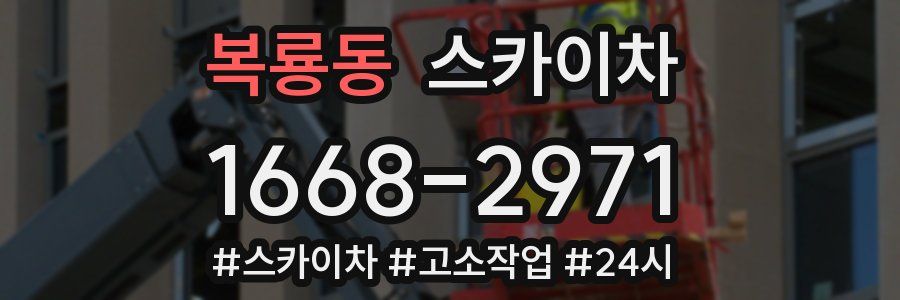 복룡동 스카이차