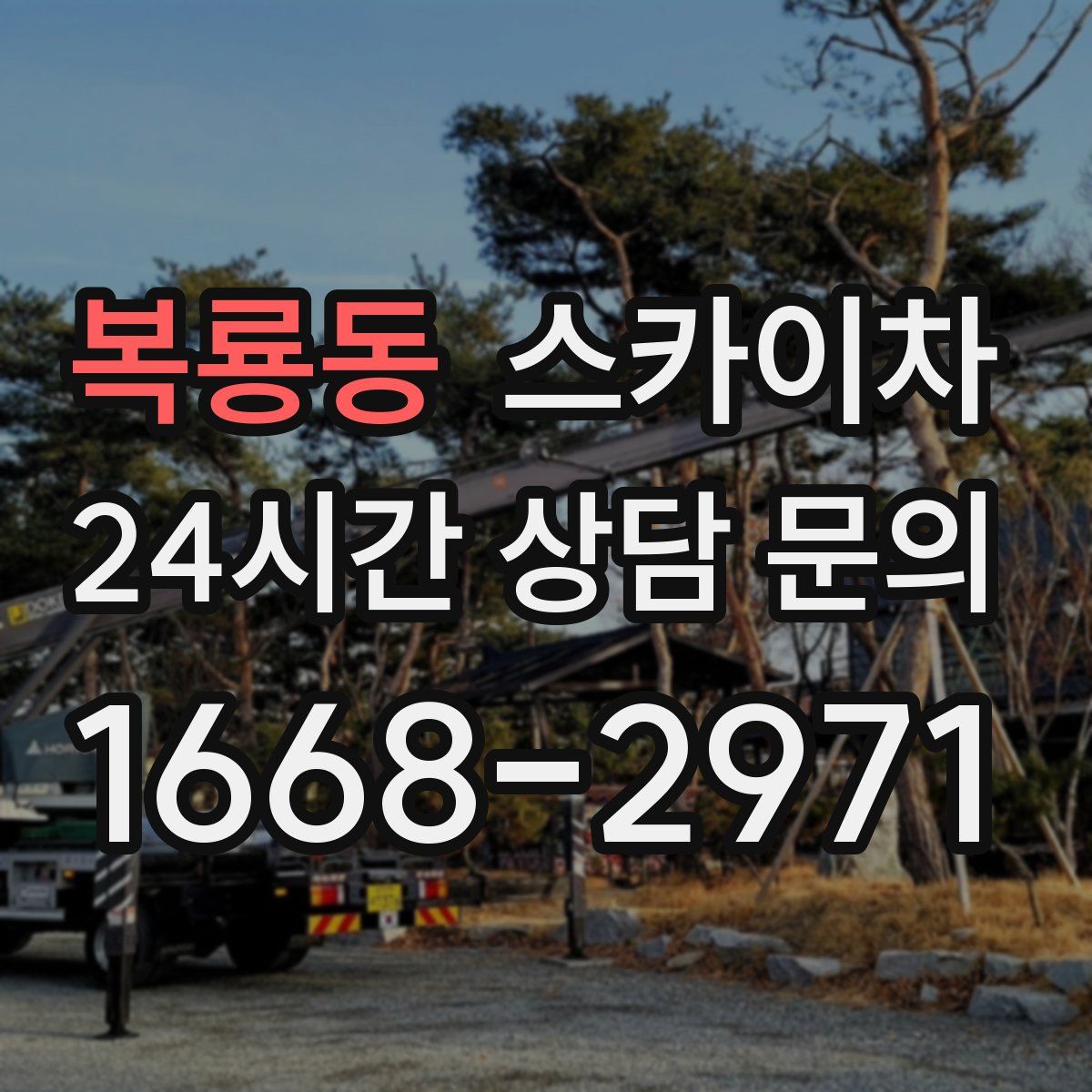 복룡동 스카이차