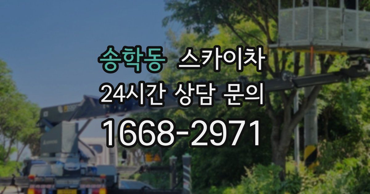 송학동 스카이차