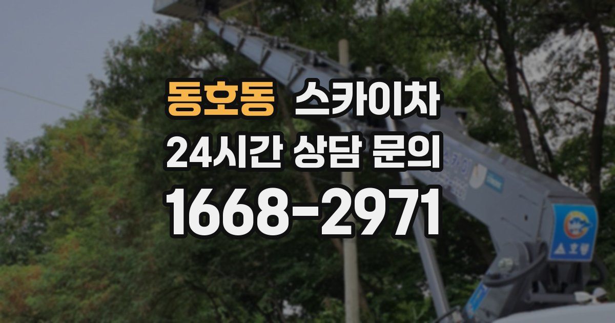 동호동 스카이차