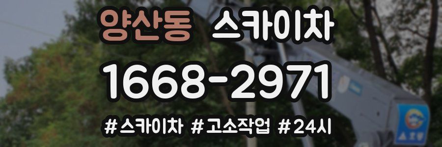 양산동 스카이차