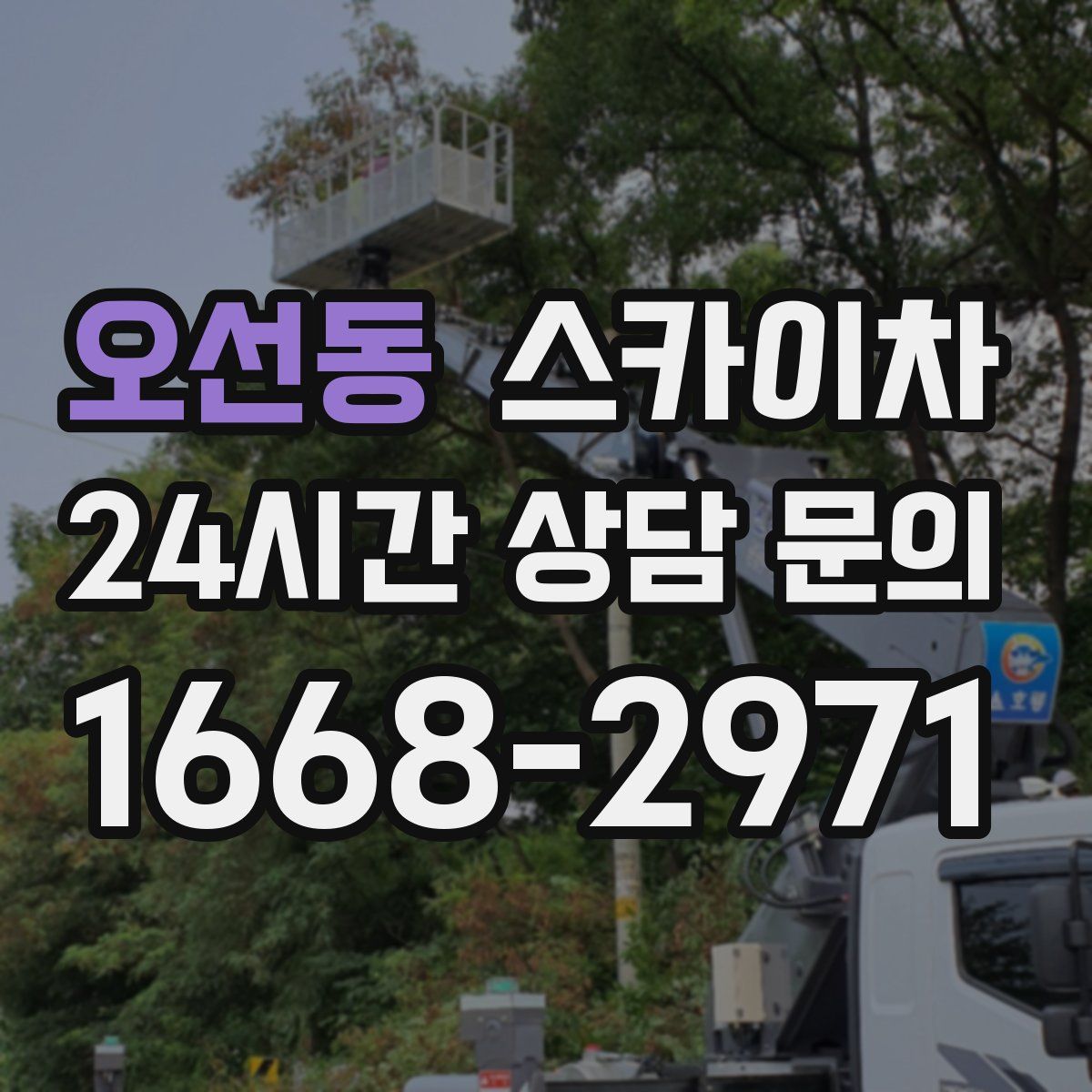 오선동 스카이차