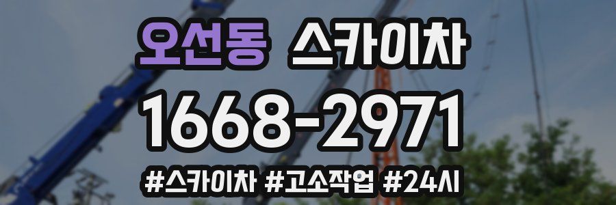 오선동 스카이차