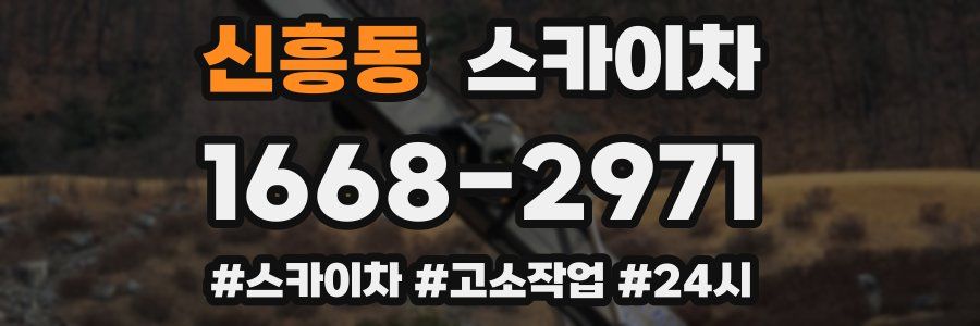 신흥동 스카이차