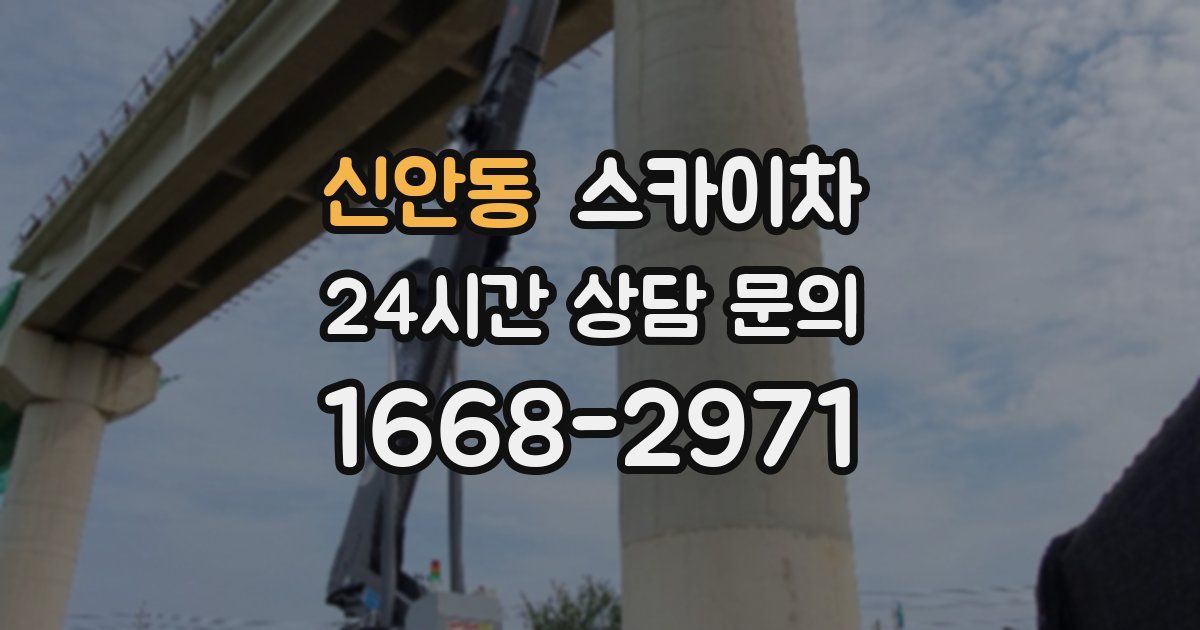 신안동 스카이차