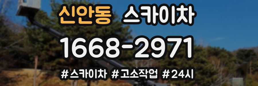 신안동 스카이차