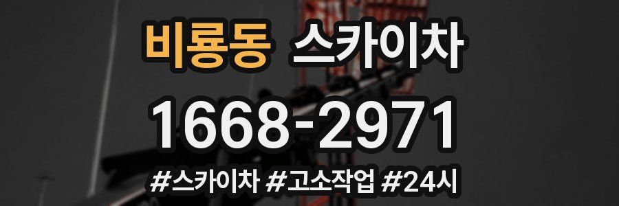 비룡동 스카이차