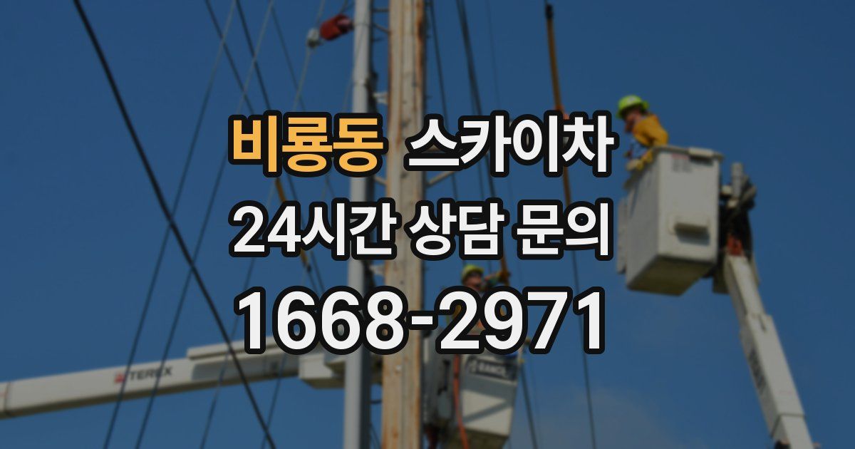 비룡동 스카이차