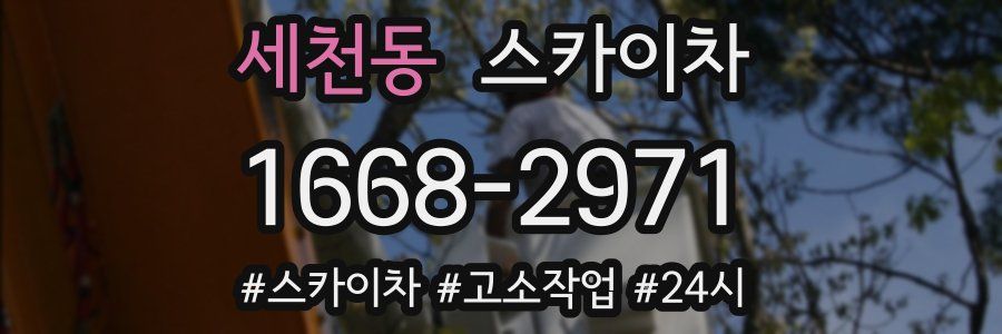 세천동 스카이차