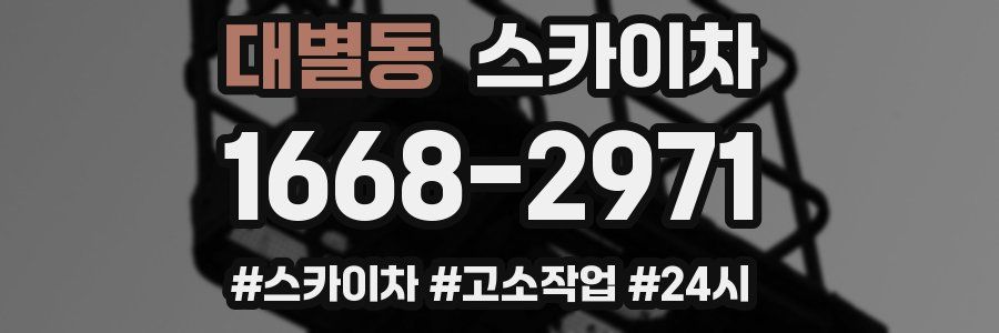 대별동 스카이차