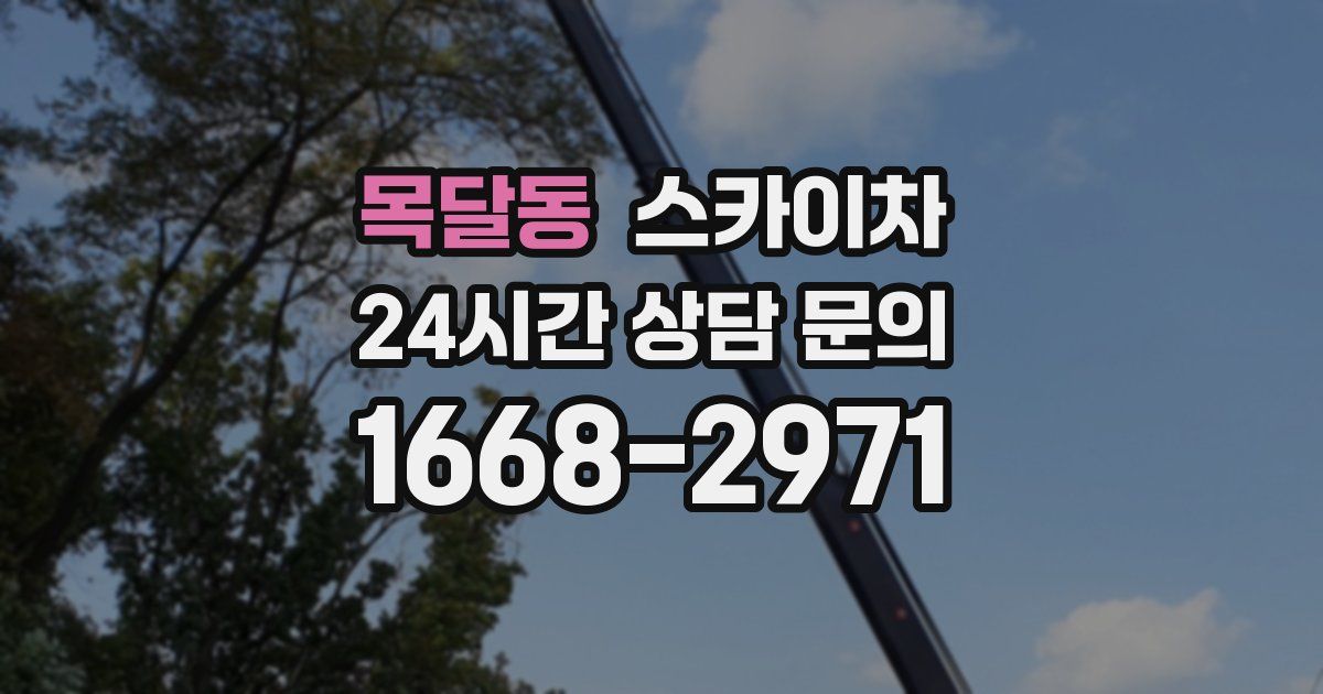 목달동 스카이차