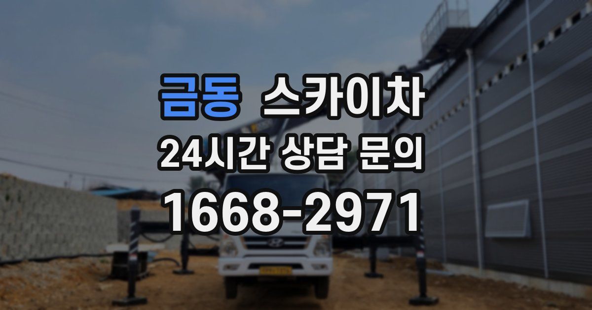 금동 스카이차