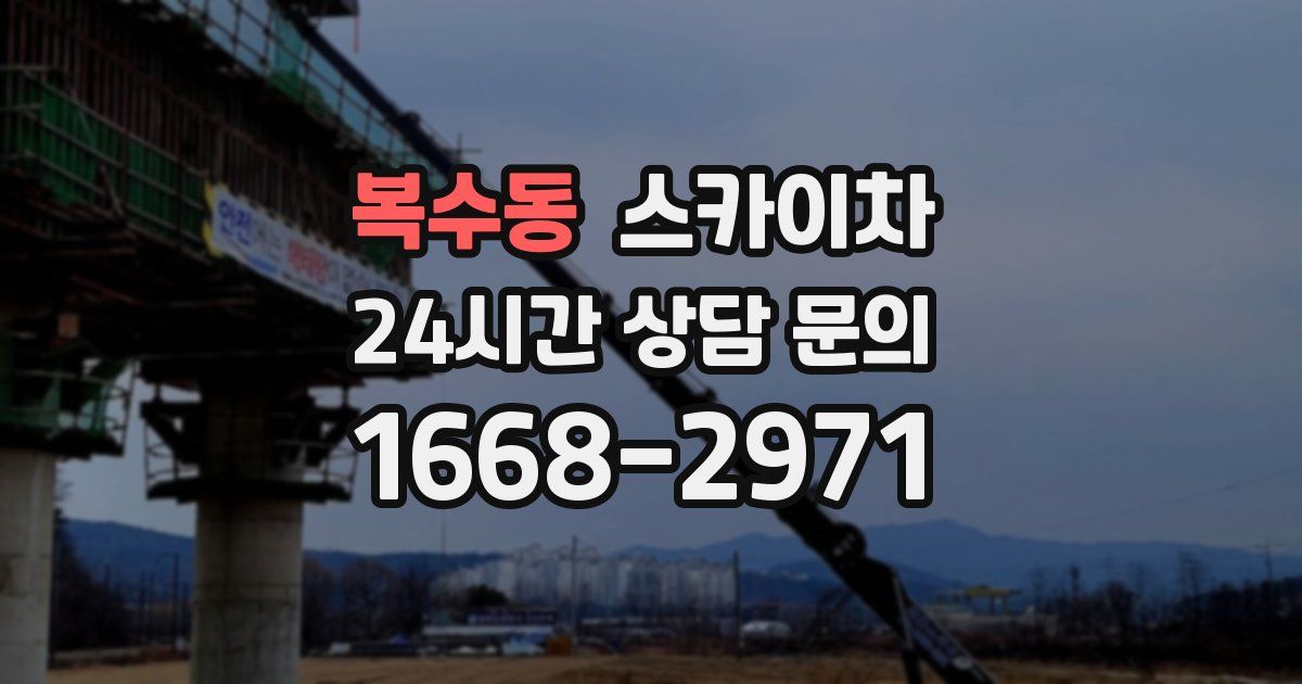 복수동 스카이차