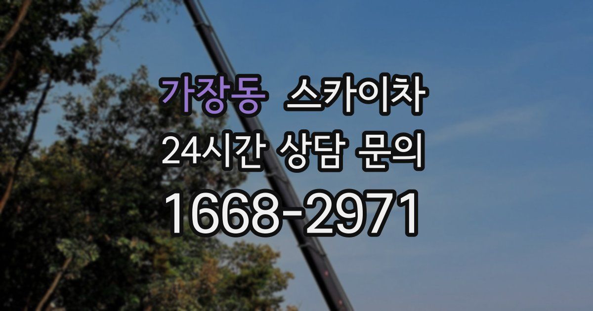 가장동 스카이차