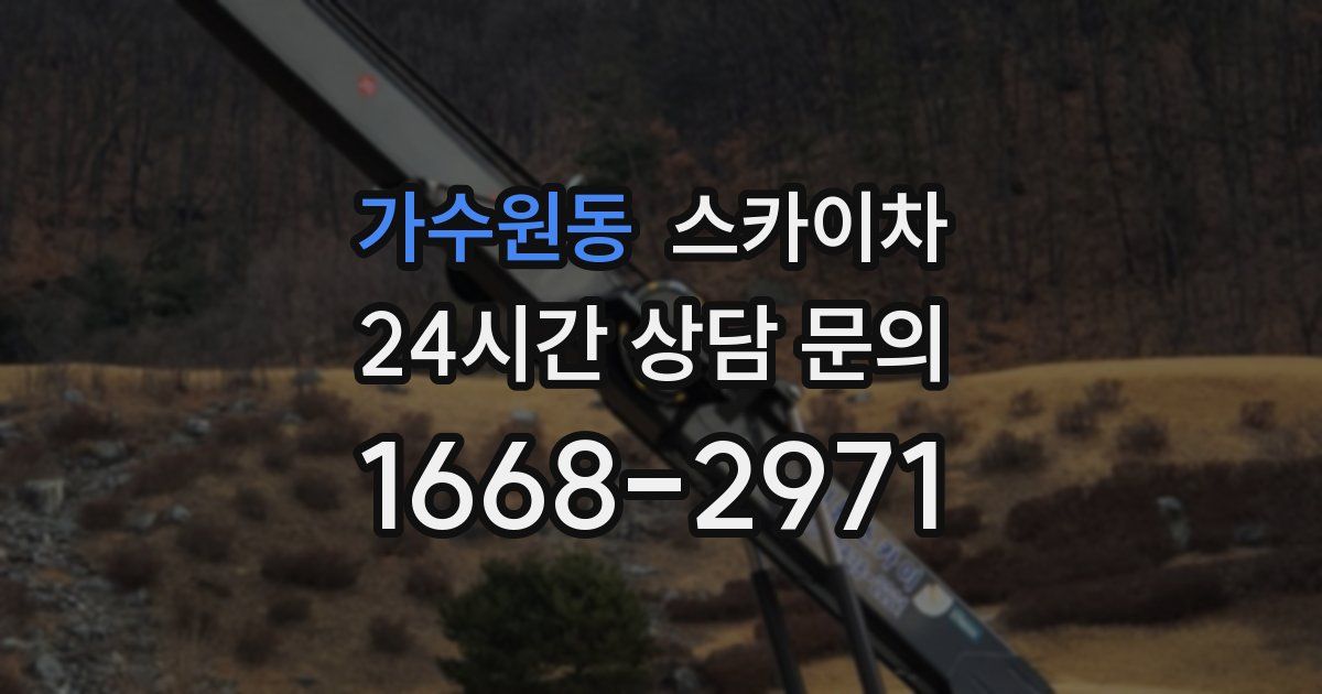 가수원동 스카이차