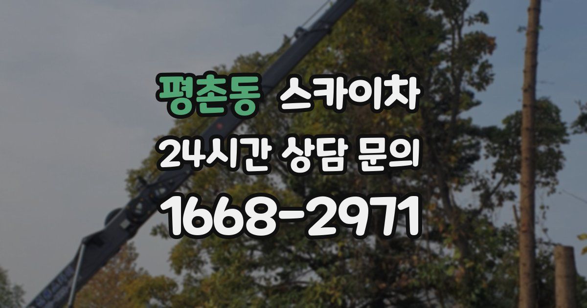 평촌동 스카이차