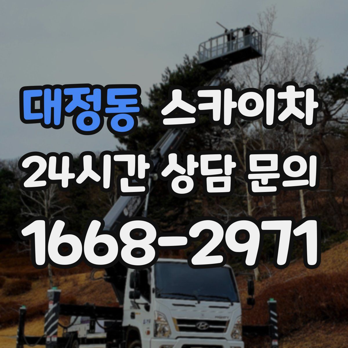 대정동 스카이차