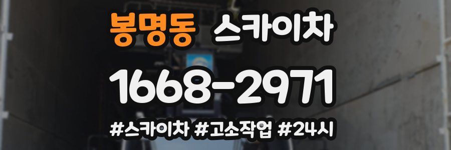 봉명동 스카이차