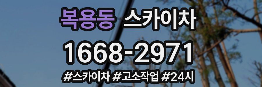 복용동 스카이차