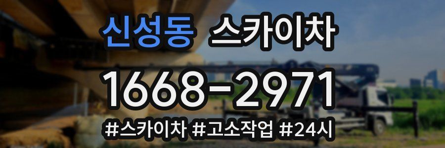 신성동 스카이차