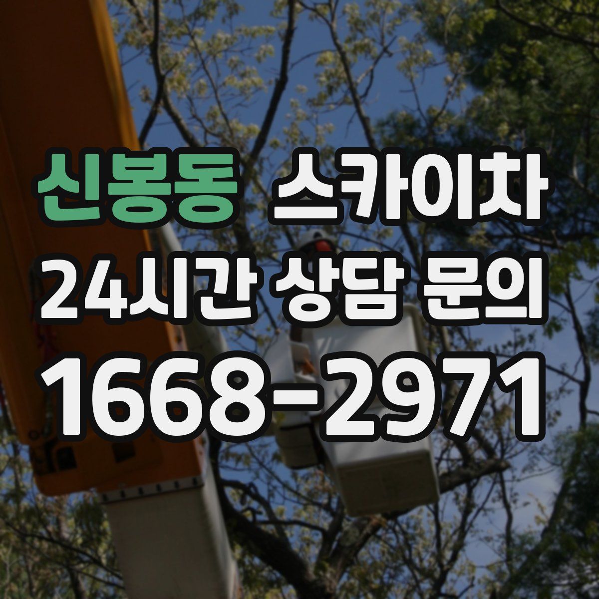 신봉동 스카이차