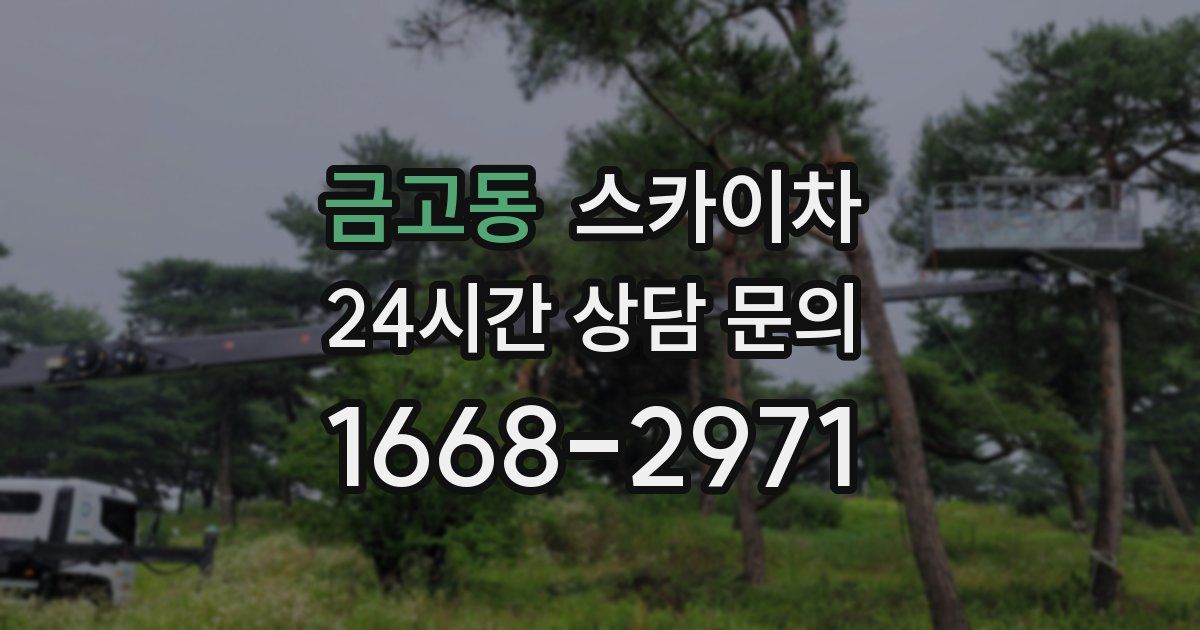 금고동 스카이차