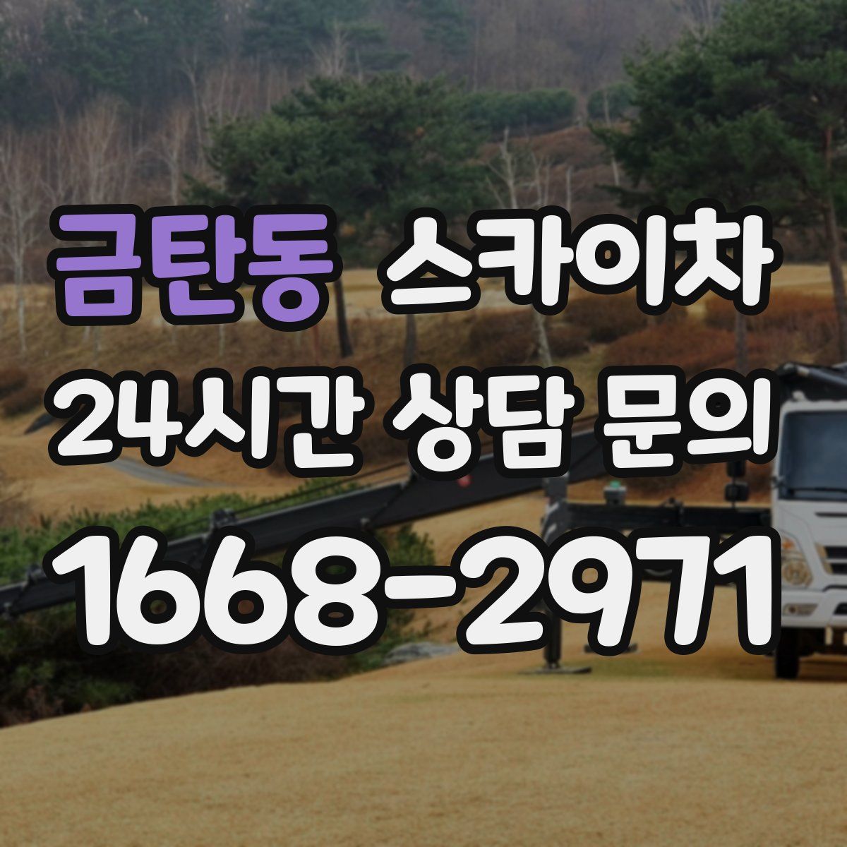 금탄동 스카이차