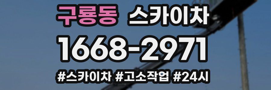 구룡동 스카이차