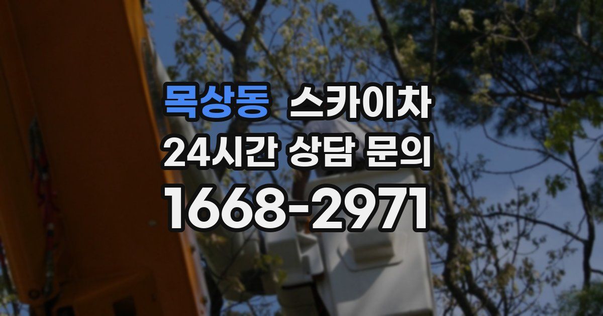 목상동 스카이차