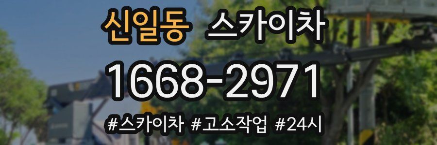 신일동 스카이차