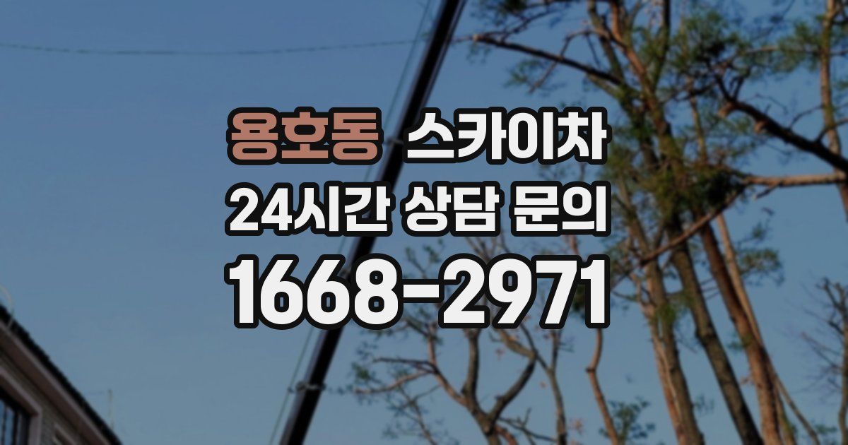 용호동 스카이차