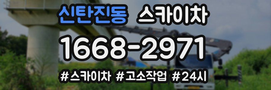 신탄진동 스카이차