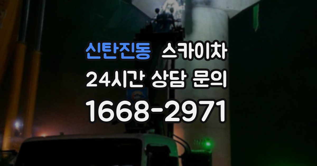 신탄진동 스카이차