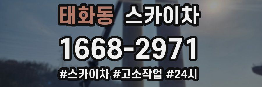 태화동 스카이차