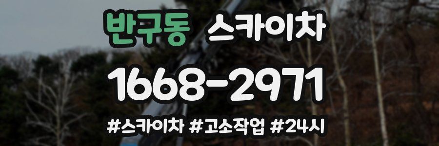 반구동 스카이차