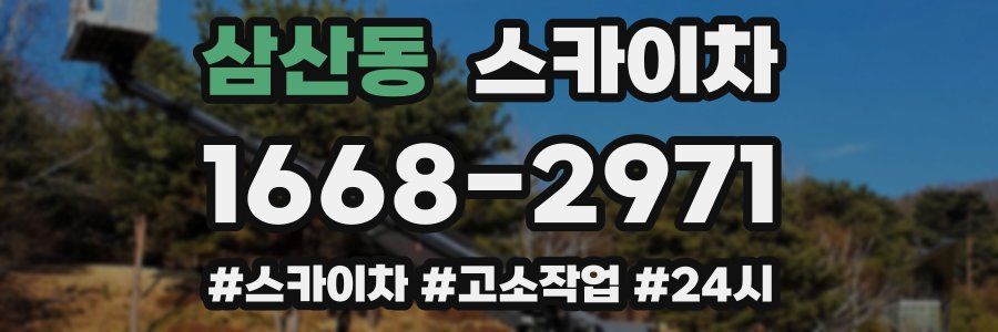 삼산동 스카이차