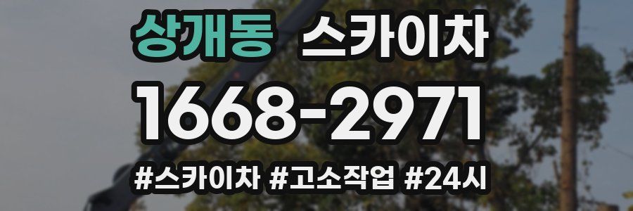 상개동 스카이차