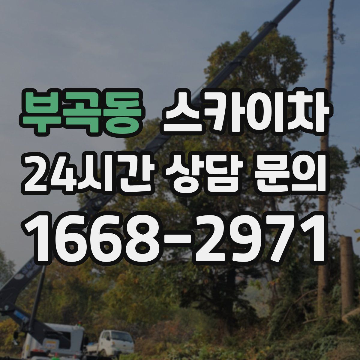 부곡동 스카이차