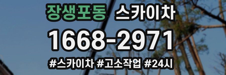 장생포동 스카이차