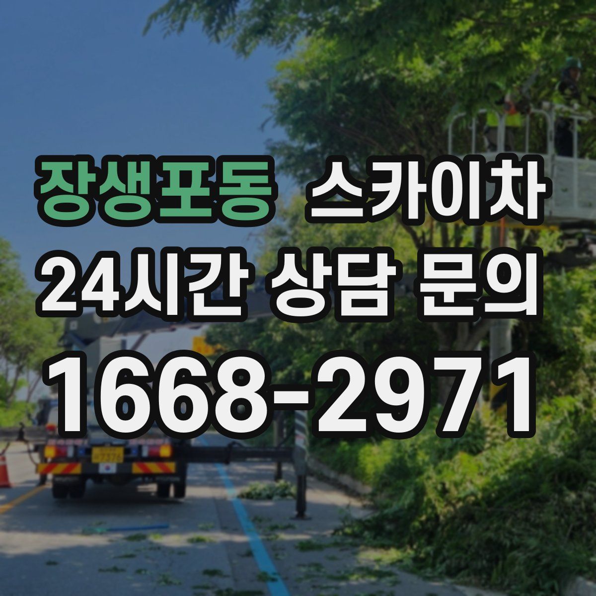 장생포동 스카이차