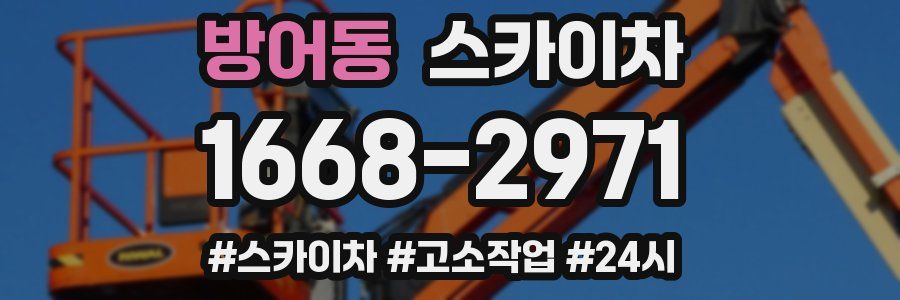 방어동 스카이차