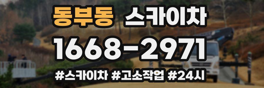 동부동 스카이차