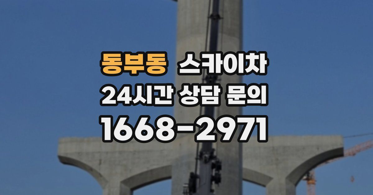 동부동 스카이차