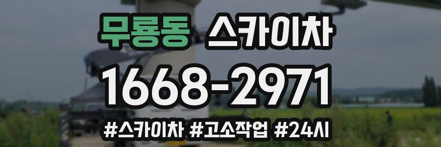 무룡동 스카이차