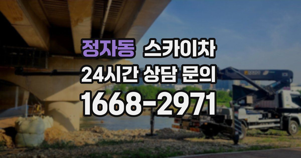 정자동 스카이차