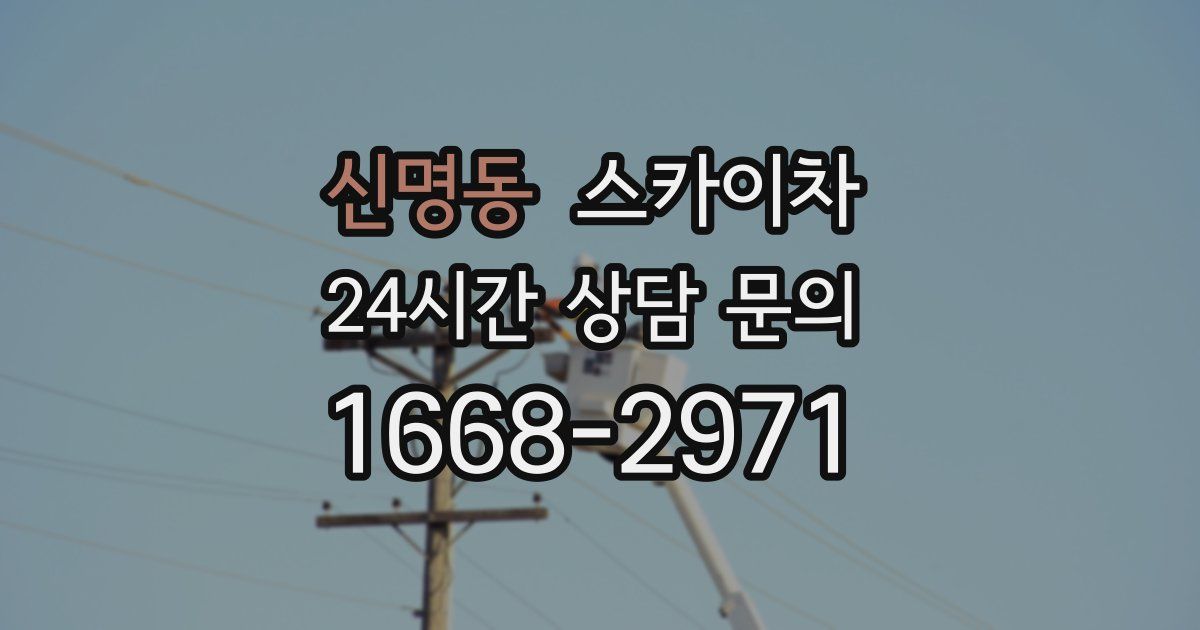 신명동 스카이차