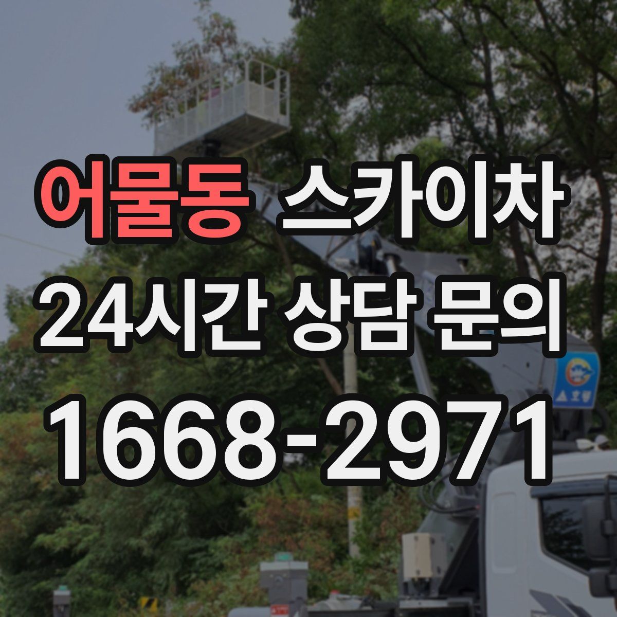 어물동 스카이차